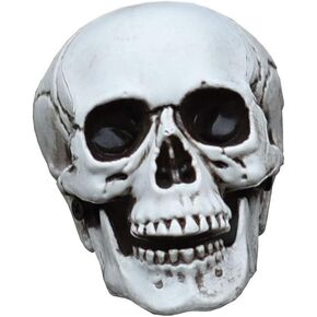 1pc Halloween Skull Lifesize Skeleton Human Halloween Skeleton Desktop Decoration Skull Head Statue Life Size Skull Head Skull Head Figurine White Plastic Dining Table Creepy
