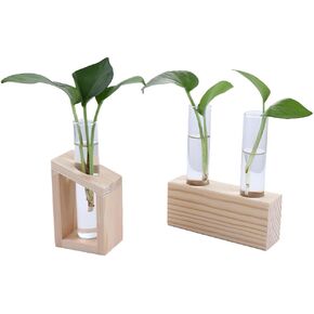2pcs Test Tube Vases Glass Planting Wooden Stand Tabletop for Breeding Hydroponic Plants Transparent Vases