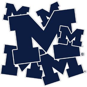 Desert Cactus University of Michigan Stickers Wolverines UM U of M Vinyl Decals Laptop Water Bottle Car Scrapbook T3 (Type 3-2)