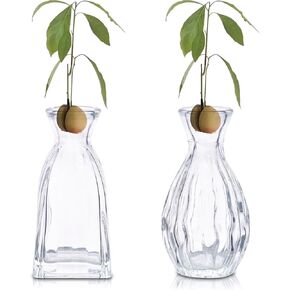 2 PCS Glass Avocado Seed Starter Vase, Avocado Tree Growing Kit for Home and Office Table Desk, Avocado Glass Plant Pot Vase for Gardening Gifts