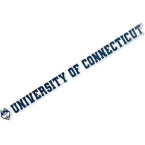 Desert Cactus University of Connecticut Sticker Huskies UConn Name Logo Vinyl Decal Laptop Water Bottle Car Scrapbook (15 Inch Sticker)