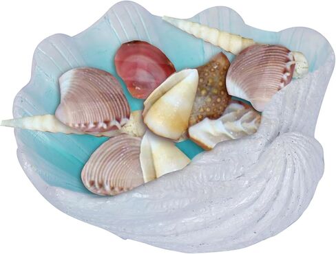 Large Seashell Bowl Decor Clam Shell Bowl Nautical Themed Decor White Decorative Bowl Coastal Beach hemed Bowl decorations for home Seashell Figurine Gift in Saudi Arabia