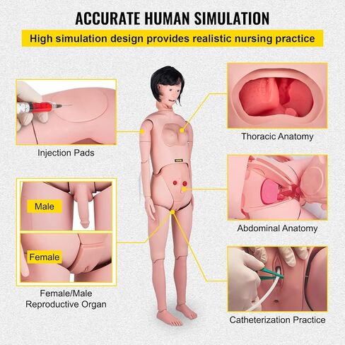 VEVOR Nursing Manikin، محاكاة عالية 65 بوصة/165 سم بالحجم الطبيعي، أنواع مختلفة للتمريض، عارضة أزياء للتدريب على التمريض من مادة PVC للذكور/الإناث مع مجموعة تدريب IV، لممارسة التدريب على مهارات التمريض الاحترافية in Saudi Arabia