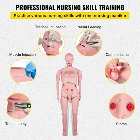 VEVOR Nursing Manikin، محاكاة عالية 65 بوصة/165 سم بالحجم الطبيعي، أنواع مختلفة للتمريض، عارضة أزياء للتدريب على التمريض من مادة PVC للذكور/الإناث مع مجموعة تدريب IV، لممارسة التدريب على مهارات التمريض الاحترافية in Saudi Arabia