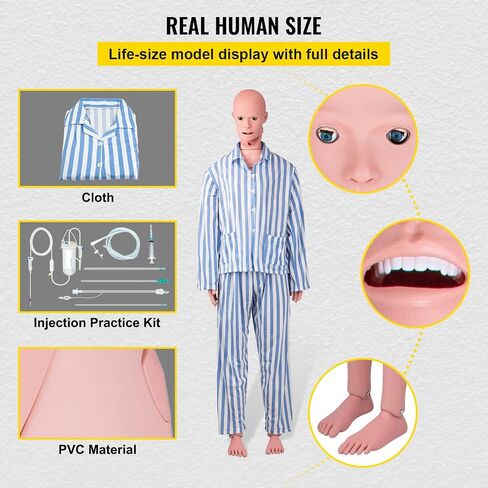 VEVOR Nursing Manikin، محاكاة عالية 65 بوصة/165 سم بالحجم الطبيعي، أنواع مختلفة للتمريض، عارضة أزياء للتدريب على التمريض من مادة PVC للذكور/الإناث مع مجموعة تدريب IV، لممارسة التدريب على مهارات التمريض الاحترافية in Saudi Arabia