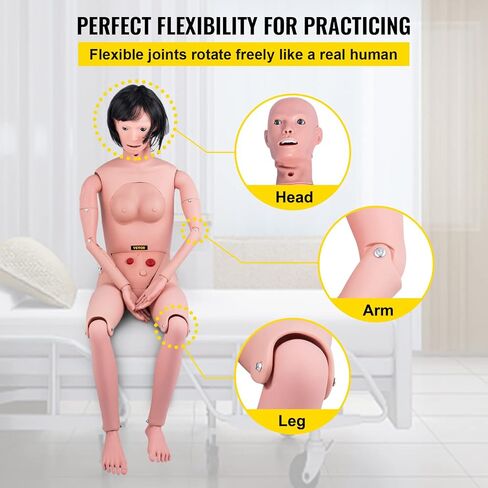 VEVOR Nursing Manikin، محاكاة عالية 65 بوصة/165 سم بالحجم الطبيعي، أنواع مختلفة للتمريض، عارضة أزياء للتدريب على التمريض من مادة PVC للذكور/الإناث مع مجموعة تدريب IV، لممارسة التدريب على مهارات التمريض الاحترافية in Saudi Arabia
