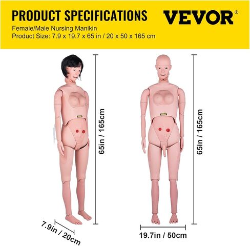 VEVOR Nursing Manikin، محاكاة عالية 65 بوصة/165 سم بالحجم الطبيعي، أنواع مختلفة للتمريض، عارضة أزياء للتدريب على التمريض من مادة PVC للذكور/الإناث مع مجموعة تدريب IV، لممارسة التدريب على مهارات التمريض الاحترافية in Saudi Arabia