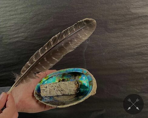 مجموعة التلطخ مع عصا تلطيخ Sage Smudge Shell Abalone Shell + دليل التلطخ من Indigenous Elder | تعليمات التلطخ المنزلي: كتاب إلكتروني ومقاطع فيديو للصلاة للتنظيف باستخدام مجموعة Sage Smudge Kit in Saudi Arabia