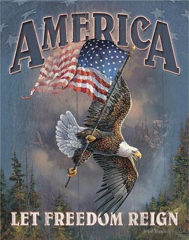 Desperate Enterprises Pledge of Allegiance Tin Sign - Nostalgic Vintage Metal Wall Decor - Made in USA in Saudi Arabia