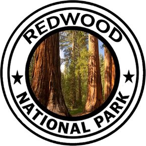 Redwoods National Park Sticker 5" Round Car Auto Decal California Forest