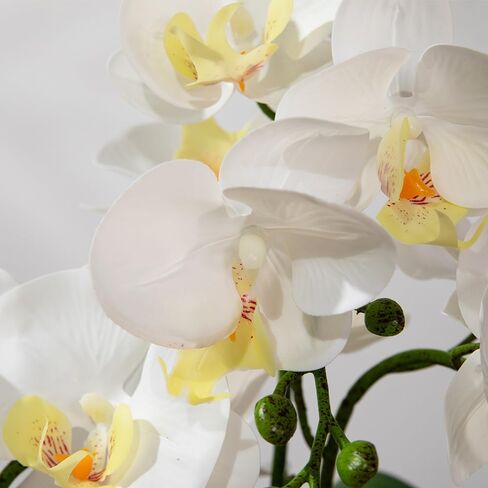 Faux Artificial Orchid Flowers in Vase, Real Touch Orchid in Pot Orquideas Fake Flowers for Home Decoration Indoor Decor Living Room Dinning Table Centerpiece (Gold Vase, White) in Saudi Arabia