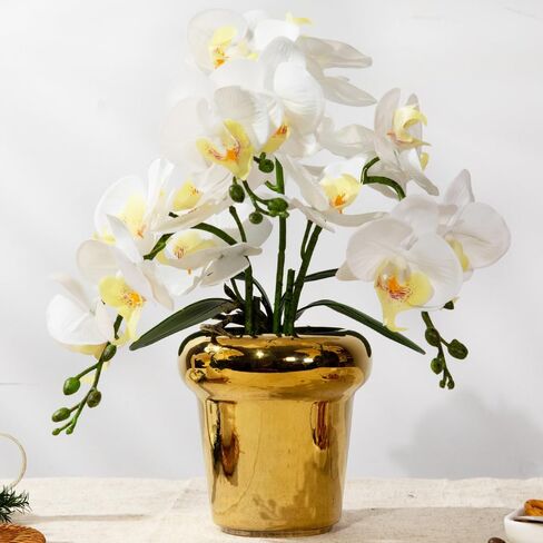 Faux Artificial Orchid Flowers in Vase, Real Touch Orchid in Pot Orquideas Fake Flowers for Home Decoration Indoor Decor Living Room Dinning Table Centerpiece (Gold Vase, White) in Saudi Arabia