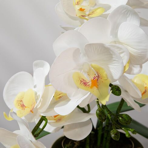 Faux Artificial Orchid Flowers in Vase, Real Touch Orchid in Pot Orquideas Fake Flowers for Home Decoration Indoor Decor Living Room Dinning Table Centerpiece (Gold Vase, White) in Saudi Arabia