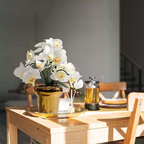Faux Artificial Orchid Flowers in Vase, Real Touch Orchid in Pot Orquideas Fake Flowers for Home Decoration Indoor Decor Living Room Dinning Table Centerpiece (Gold Vase, White) in Saudi Arabia