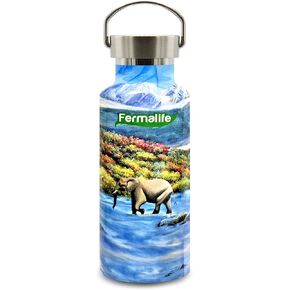 Stainless Steel - Vacuum Sealed Double Insulated - Water Bottle 17oz (500ml)