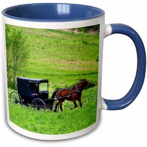 3dRose Amish Farm with Horse Buggy Near Berlin, Ohio-US36 DFR0018-David R Frazier Two Tone Mug, 11 oz, Blue/White