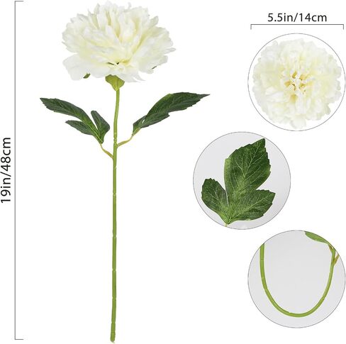6PCS White Peonies Artificial Flowers 5.5" Big Fake Silk Peonies Faux Peonies Flower Bouquets with 19" Long Stem for Vase Wedding Table Centerpiece Home Decoration Floral Arrangement (White) in Saudi Arabia