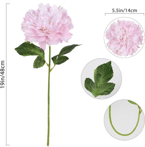 6PCS White Peonies Artificial Flowers 5.5" Big Fake Silk Peonies Faux Peonies Flower Bouquets with 19" Long Stem for Vase Wedding Table Centerpiece Home Decoration Floral Arrangement (White) in Saudi Arabia