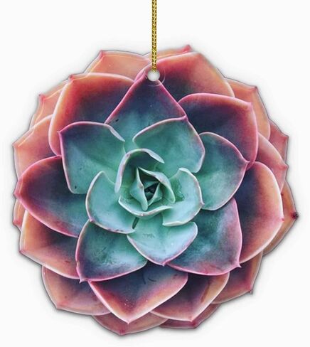 Succulent 2D FLAT Wood Ornament, (NOT 3D) Christmas Tree Hanging Plant Ornament, Christmas Decorations, Gardener Gardening Ornament, Gift for Gardeners, Gardening, Gift for Mom, Grandma, Mother in Saudi Arabia