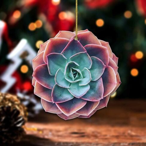 Succulent 2D FLAT Wood Ornament, (NOT 3D) Christmas Tree Hanging Plant Ornament, Christmas Decorations, Gardener Gardening Ornament, Gift for Gardeners, Gardening, Gift for Mom, Grandma, Mother in Saudi Arabia