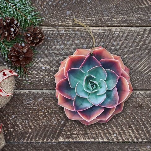 Succulent 2D FLAT Wood Ornament, (NOT 3D) Christmas Tree Hanging Plant Ornament, Christmas Decorations, Gardener Gardening Ornament, Gift for Gardeners, Gardening, Gift for Mom, Grandma, Mother in Saudi Arabia