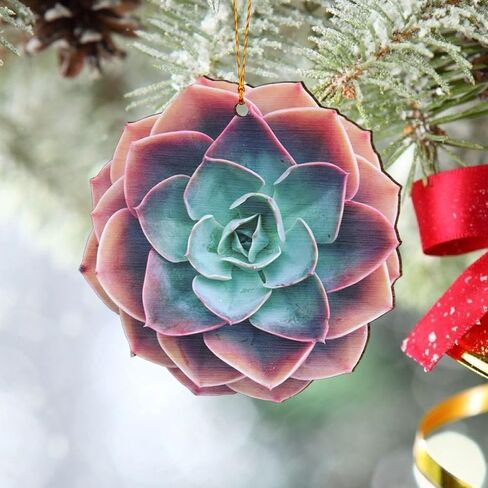 Succulent 2D FLAT Wood Ornament, (NOT 3D) Christmas Tree Hanging Plant Ornament, Christmas Decorations, Gardener Gardening Ornament, Gift for Gardeners, Gardening, Gift for Mom, Grandma, Mother in Saudi Arabia