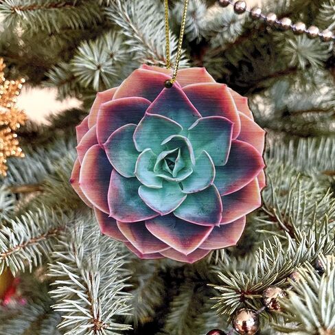 Succulent 2D FLAT Wood Ornament, (NOT 3D) Christmas Tree Hanging Plant Ornament, Christmas Decorations, Gardener Gardening Ornament, Gift for Gardeners, Gardening, Gift for Mom, Grandma, Mother in Saudi Arabia