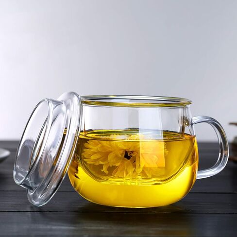 Glass Tea Infuser Cup with Filter and Lids, Borosilicate Glass Tea Mugs with Strainer for Blooming Tea & Loose Leaf Tea, Steeping Tea Cup Gift Kit, Lead-free, Microwave Safe, 14oz in Kuwait