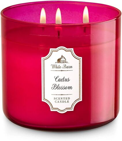 White Barn 3 Wick Candle 14.5 Ounce, Cactus Blossom in Saudi Arabia