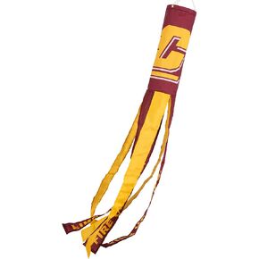 College Flags & Banners Co. Central Michigan Chippewas Windsock