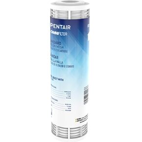 Pentair OMNIFilter RS19 Sediment Water Filter, 10-Inch, Standard Whole House Screen Mesh Sediment Replacement Cartridge, 10" x 2.5", 150 Micron, White