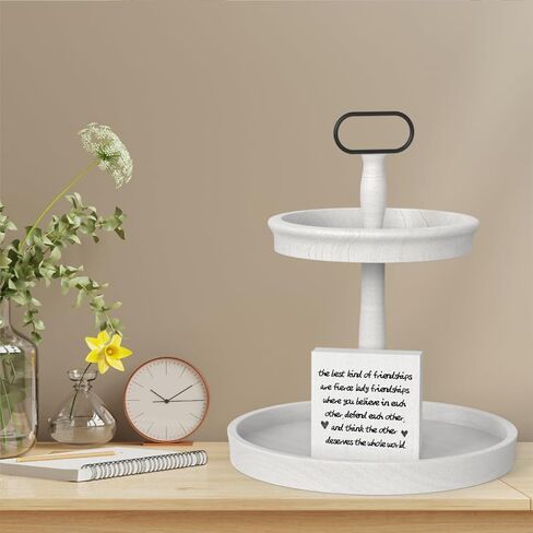 ملهمة أفضل نوع من الصداقات هي صداقات سيدة شرسة صندوق خشبي علامة مكتب ديكور مكتب 5 × 5 بوصة صندوق خشبي تحفيزي علامة ديكور مزرعة ريفي in Kuwait