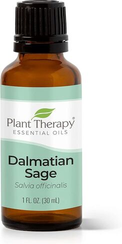 Plant Therapy Dalmatian Sage Essential Oil 10 mL (1/3 oz) 100% Pure, Undiluted, Therapeutic Grade in Saudi Arabia