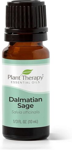 Plant Therapy Dalmatian Sage Essential Oil 10 mL (1/3 oz) 100% Pure, Undiluted, Therapeutic Grade in Saudi Arabia