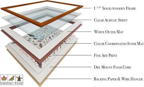 Earth Sky + Water - Peterson’s Backyard Birds of the Mid-Atlantic - Double-matted Posters with Black Frame in Saudi Arabia