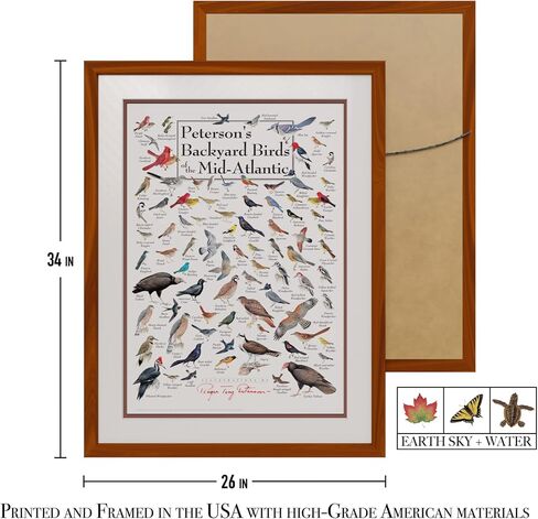 Earth Sky + Water - Peterson’s Backyard Birds of the Mid-Atlantic - Double-matted Posters with Black Frame in Saudi Arabia