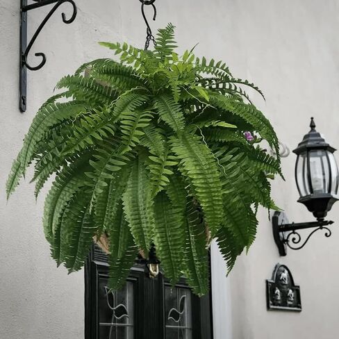 Resistant Lifelike Artificial Boston Fern, Artificial Ferns for Outdoors, Faux Ferns Fake Ferns Artificial Plants, Artificial Boston Fern for Window Home Decor (2Pcs-56Branches) in Saudi Arabia