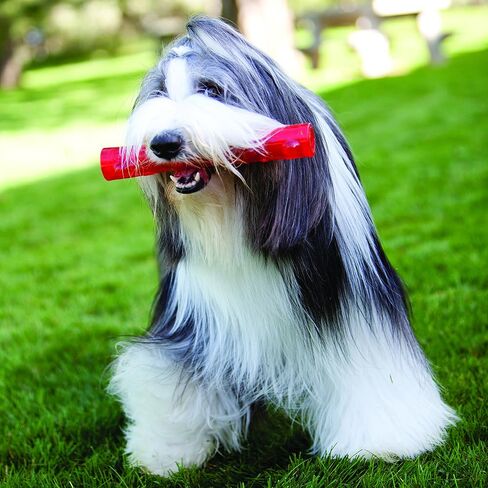 KONG - Squeezz Stick - Strong Squeaky Dog Toy, Squeaks even if punctured - For Large Dogs (Assorted Colors) in Saudi Arabia