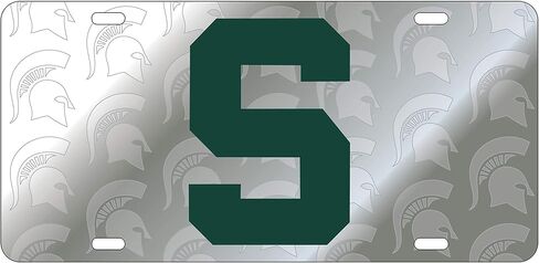 Michigan State Tag in Saudi Arabia