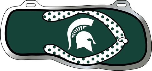 Michigan State Tag in Saudi Arabia
