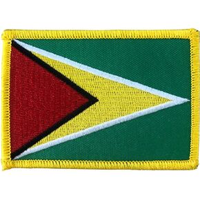 Guyana Flag 1" Metal Lapel and Hat Pin - Show Your Co-Operative Republic of Guyana Pride