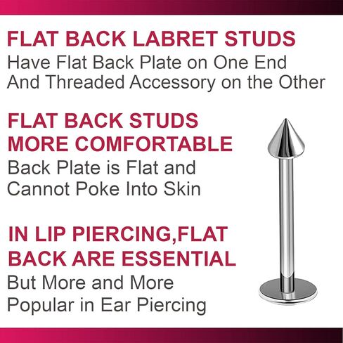 Bodyjewellery 2 قطعة ترصيع التيتانيوم Labret 16 جرام محارة ثقب الشفاه لدغات الأفعى العنكبوت مونرو الزنمة الغضروف اللولب المخروط B2BCI اختيار الحجم in Kuwait