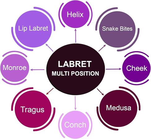Bodyjewellery 2 قطعة ترصيع التيتانيوم Labret 16 جرام محارة ثقب الشفاه لدغات الأفعى العنكبوت مونرو الزنمة الغضروف اللولب المخروط B2BCI اختيار الحجم in Kuwait