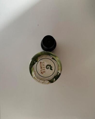 Ravintsara (Ho Leaf) Oil 15 ML (0.51 Fl.OZ) | 100% Pure Natural Undiluted Uncut Therapeutic Grade Cinnamomum Camphora Essential Oil in Saudi Arabia