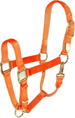 Hamilton 1-Inch Nylon Halter with Adjustable Chin, Mango Orange, Yearling Size 300 to 500-Pound in Saudi Arabia