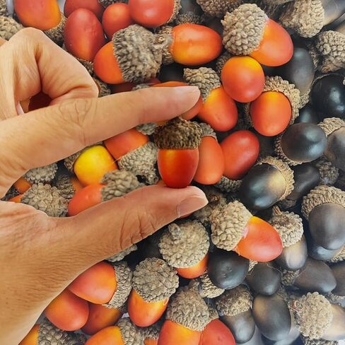 TIHOOD 160PCS Artificial Acorns Bulk Small Fake Lifelike Simulation Acorn with Natural Cap for Crafts, Wedding, Home Vase Filler Decor in Kuwait