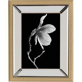 Mikasa Gold Rope Mirror Frame, Displays one 4 x 6 Photo, 7 x 9 Inch