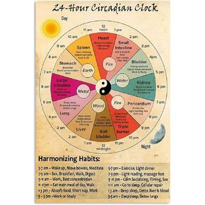 Vintage Tin Sign 24 Hour Circadian Clock Organ Clock Unframed Knowledge Wall Art Chinese Medicine Healthy Art 8x12 Inch Cafe School Decor