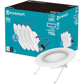 EcoSmart 5/6 in. Daylight Integrated LED Recessed Trim (12-Pack)