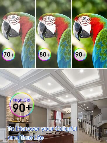 Energetic 6 Pack 6 Inch 5CCT Ultra-Thin LED Recessed Ceiling Light with Junction Box, 2700K/3000K/4000K/5000K/6500K Selectable, 12W 120W Eqv, 900LM, Dimmable Canless Wafer Downlight, IC Rated, ETL&FCC in Kuwait